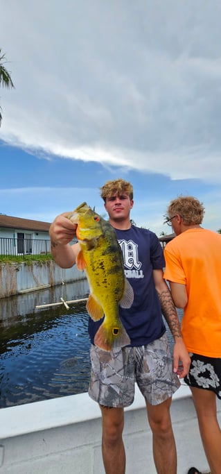 Guaranteed Peacock bass and more