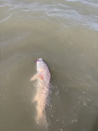 Wade fishing with artificial lures 