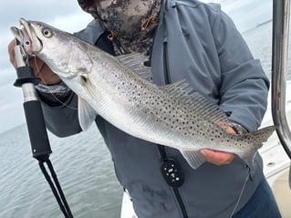 Wade fishing with artificial lures 