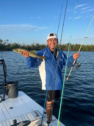 4-6 Hours Inshore Trip