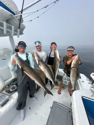 4-8 Hour Offshore Trip