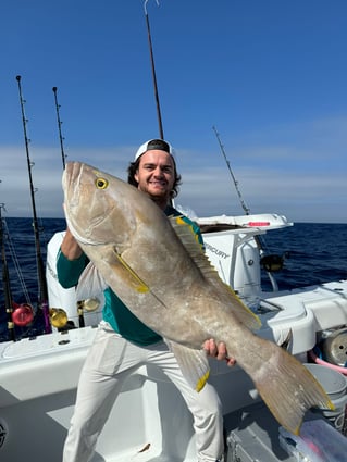 4-8 Hour Offshore Trip