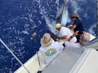 4-8 Hours Kona Fishing Trip