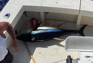 4-8 Hours Kona Fishing Trip