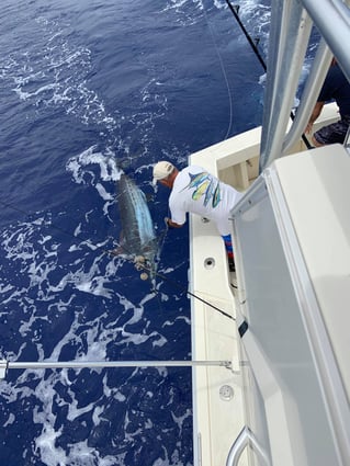 4-8 Hours Kona Fishing Trip