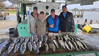 Inshore Fishing Trip 