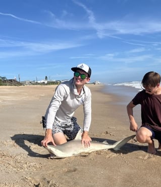 3 Hour Trip Daytona Beach