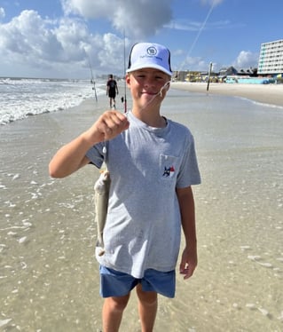 3 Hour Trip Daytona Beach