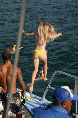 Public Sunset Catamaran
