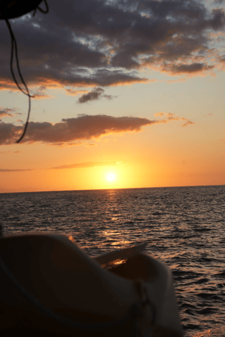 Public Sunset Catamaran
