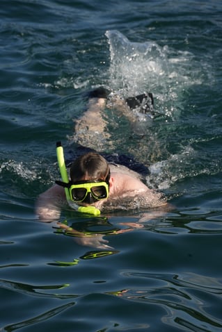 Public Sunset Catamran