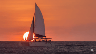 Public Sunset Catamaran