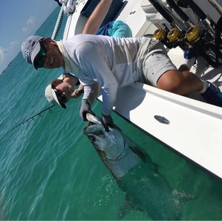 4-8 Hour Inshore Trip