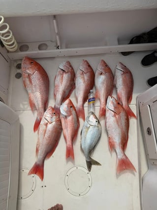Offshore Fishing Trip
