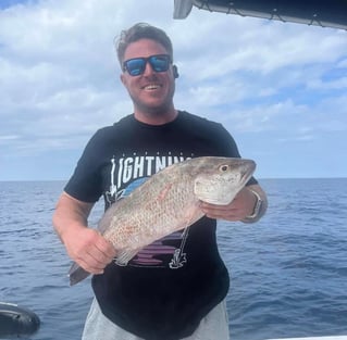 Offshore Fishing Trip