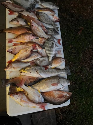 Offshore Fishing Trip