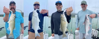 Sonar-intensive White Bass Fishing