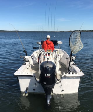 Sonar-intensive White Bass Fishing