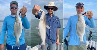 Sonar-intensive White Bass Fishing