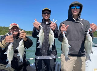 Sonar-intensive White Bass Fishing