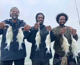 Sonar-intensive White Bass Fishing