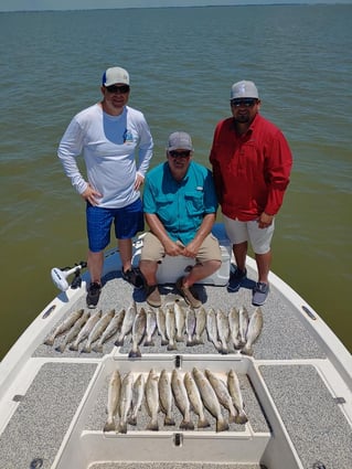 Inshore Fishing Trip