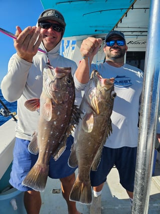 Offshore Fishing Trip