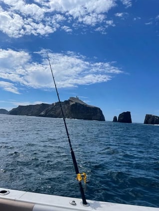 4-10 Hour Offshore Trip