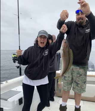 4-10 Hour Offshore Trip