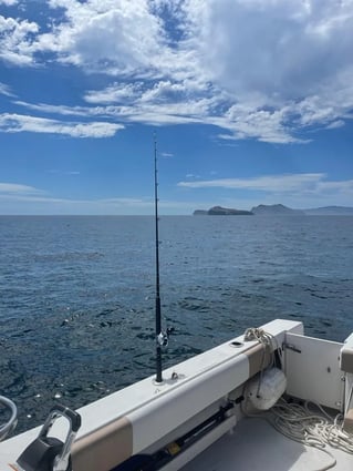 4-10 Hour Offshore Trip