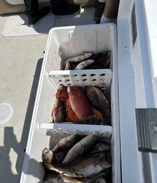 4-10 Hour Offshore Trip