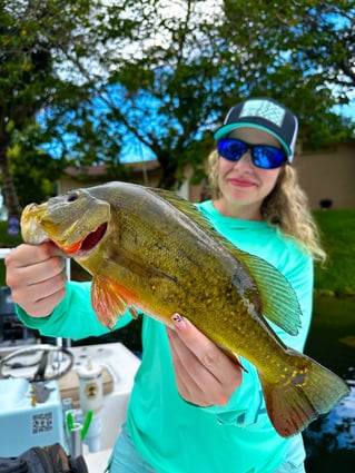 Peacock Bass Fishing