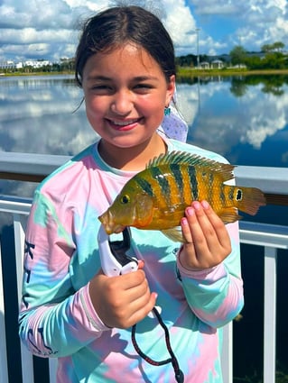 Peacock Bass Fishing