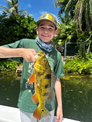 Peacock Bass Fishing