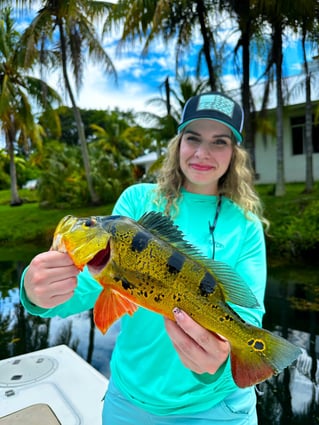 Peacock Bass Fishing