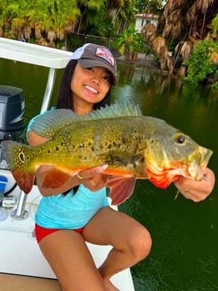 Peacock Bass Fishing