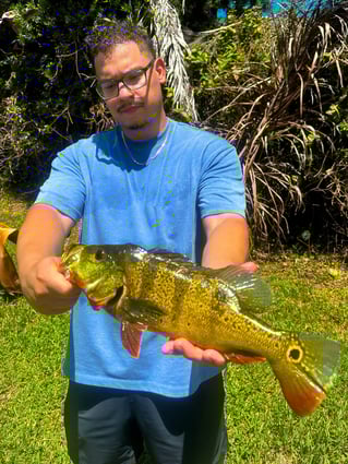 Peacock Bass Fishing