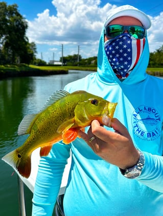 Peacock Bass Fishing