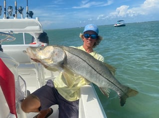 4-8 Hour Inshore Trips