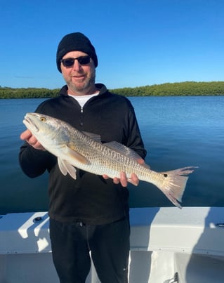 4-8 Hour Inshore Trips