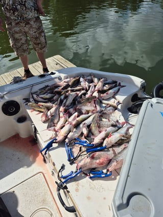 4 hr AM Fishing Trip on Lake Conroe