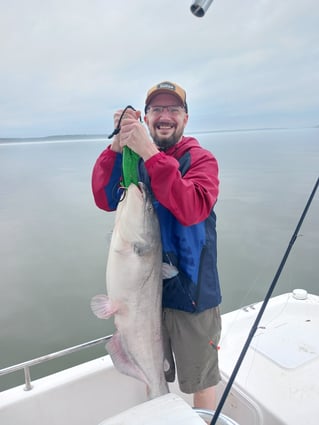 4 hr AM Fishing Trip on Lake Conroe
