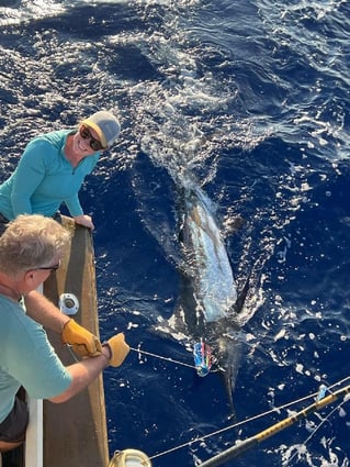 Offshore Fishing Trip