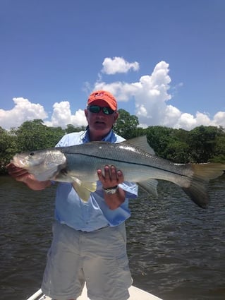 Inshore Back Water Fishing Trip