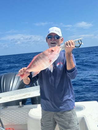 8hr Offshore Fishing