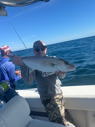 8hr Offshore Fishing