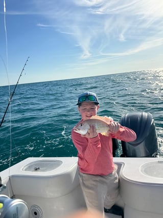 8hr Offshore Fishing