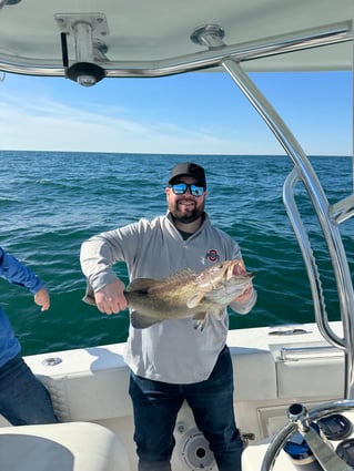 8hr Offshore Fishing