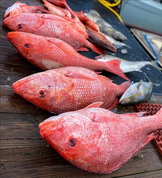 Jacksonville Offshore Fishing
