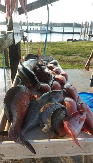 Jacksonville Offshore Fishing